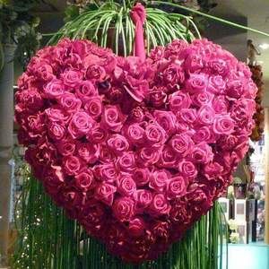 Meet your Posher, Claire